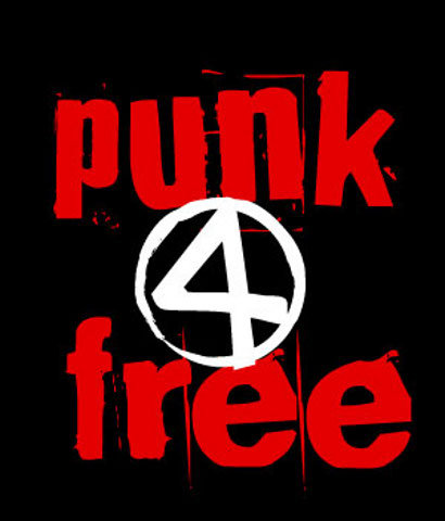 immagine per intervista a punk4free